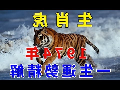 1974年屬虎的命運