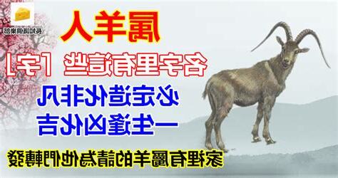 屬羊的