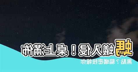 桌上突然有螞蟻