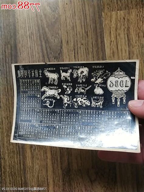 1964生肖