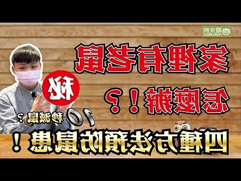 老鼠洞處理