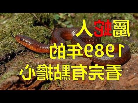 大林木命屬蛇