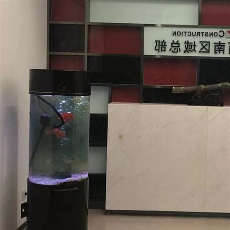 門口養魚