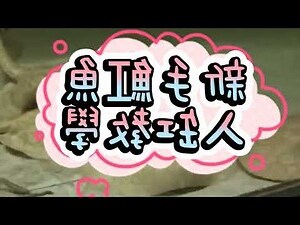魟魚混養