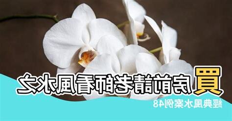 看風水老師