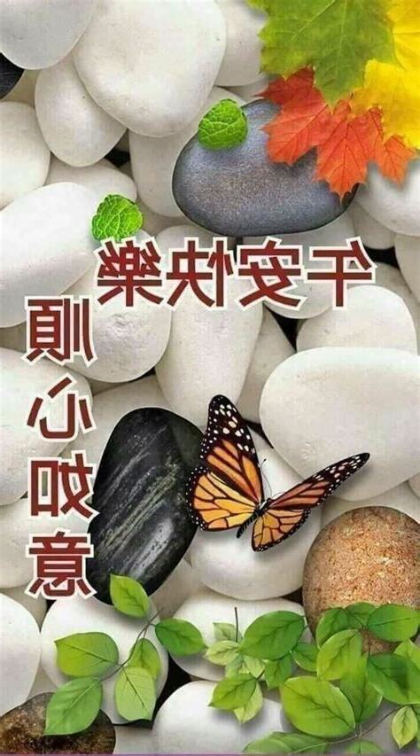 台灣午安图片