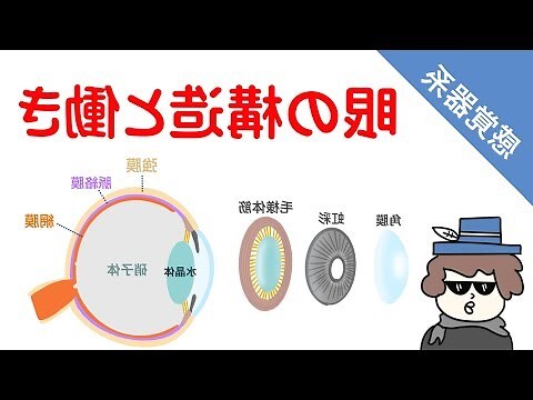 瞳孔大面相