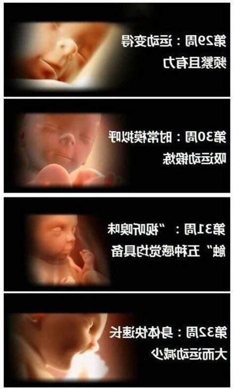 受孕