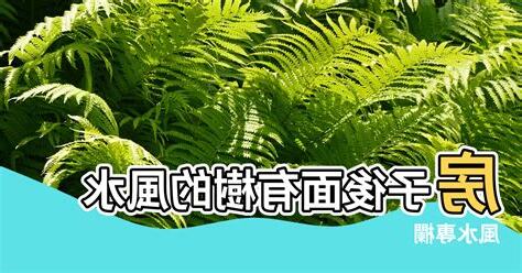 屋後有樹