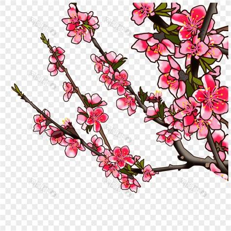 桃花枝作用