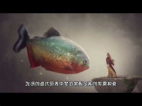 夢見魚號碼