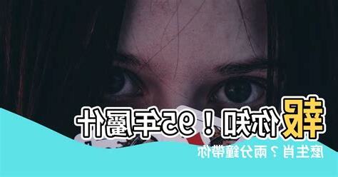 95年屬什麼