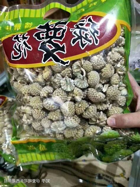 綠蘿花功效消炎