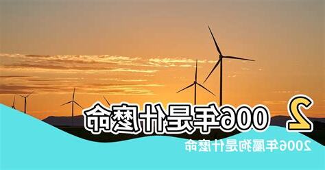 2006五行