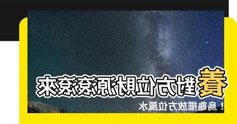 養烏龜方位