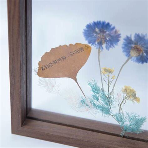 乾花畫