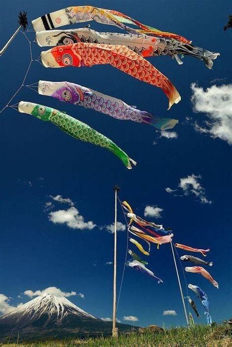 鯉魚含義