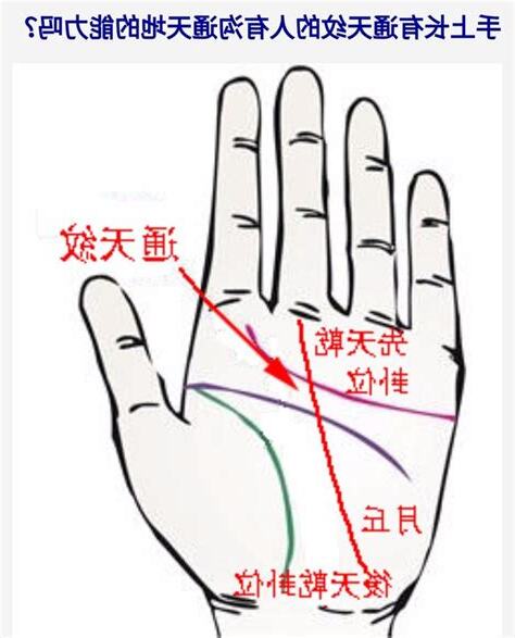通天紋玉柱紋