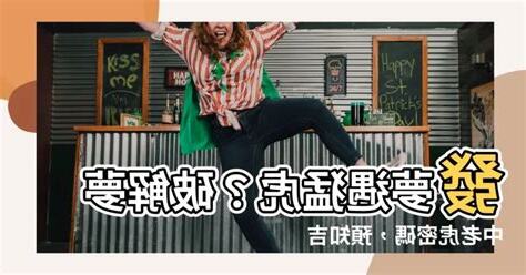 發夢老虎