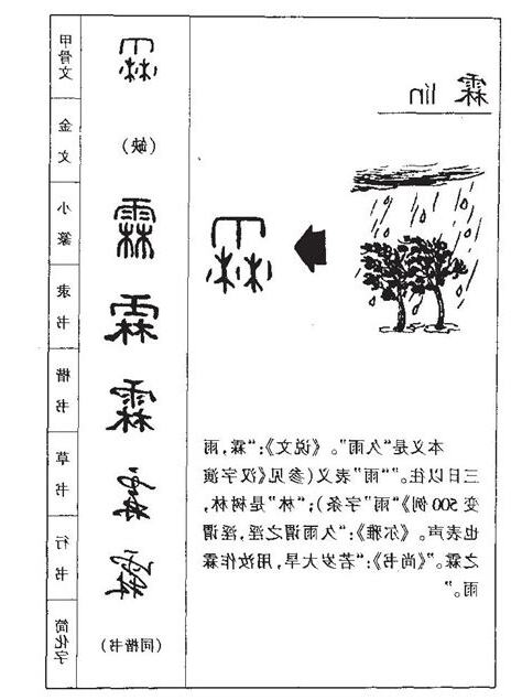 霖的意思名字