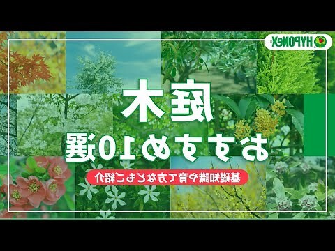 庭園樹木選擇