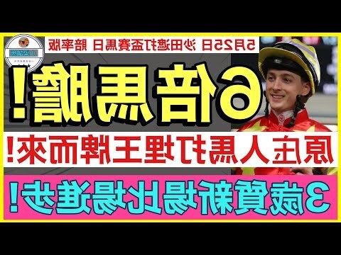 馬膽意思