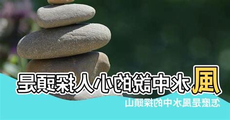 探頭意思