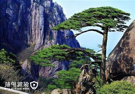 松寓意