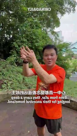 华人墓碑