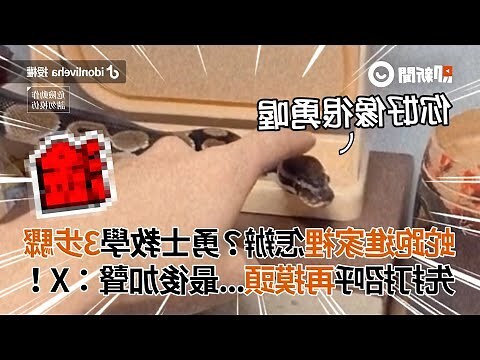 蛇跑進家裡怎麼辦