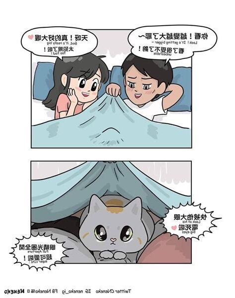 夢到貓來我家