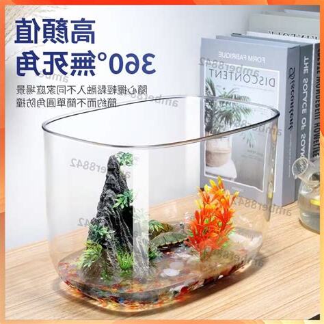 養烏龜容器