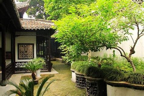 庭院種樹風水