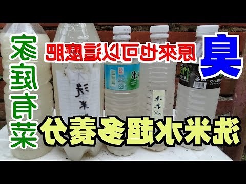 洗米水澆花