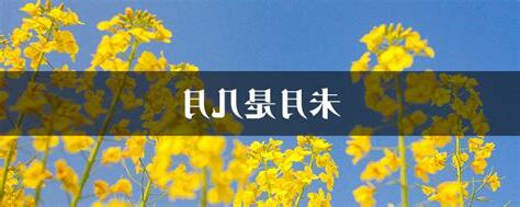 未月個性