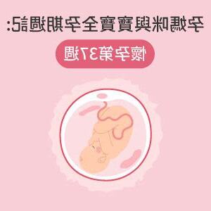 懷孕37週性行為