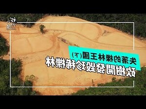 開發森林的壞處