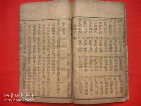 癸巳日主