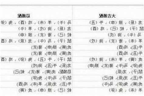 82年属相