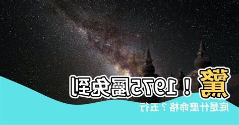 1975是什麼兔