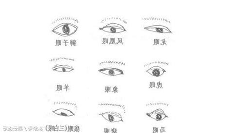 眼睛形狀面相