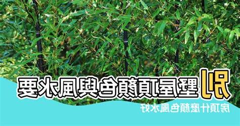 屋頂顏色風水
