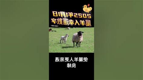 屬羊幸運數字