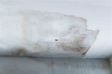 天花板發霉處理