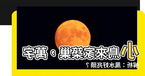 小鳥來家裏築巢萬字