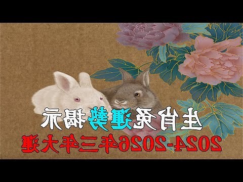 生肖兔2024