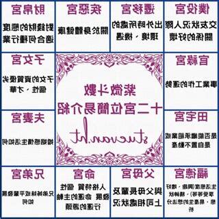 紫微鬥數算命推薦香港