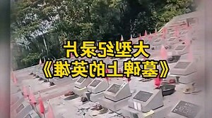 墓碑上的照片