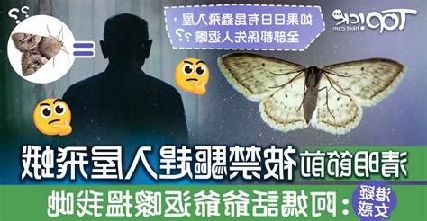 飛蛾入屋意思