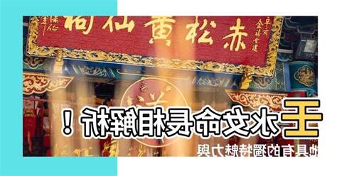 壬水女長相